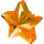 Anagram Ballongewicht Stern Orange 170 g 20St-1Set