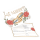 luftballonsDE Ballonflugkarte Just Married Ringe-50St