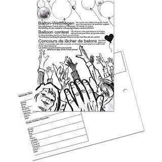Ballonflugkarte Neutral-100St