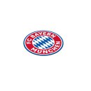 12 Bierdeckel FC Bayern M&uuml;nchen Papier 10,7 cm