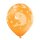Belbal Premium Luftballon Meerestiere  ø30cm-6St