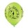 Belbal Premium Luftballon Pferdekopf  ø30cm-6St