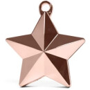 Riethmüller Ballongewicht Stern Rosegold 140g-1St
