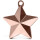 Riethmüller Ballongewicht Stern Rosegold 140g-1St