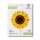 Betallic Folienballon Sonnenblume 56cm-1St